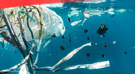 sularda biriken plastik ve sentetik atıklar, su altı  çekim