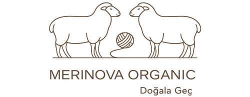MerinoBasic